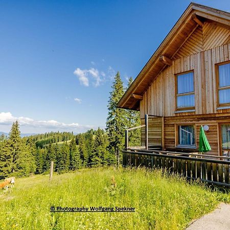 Villa Mountain Hut With Sauna On Weinebene Posch Alpe Exterior foto