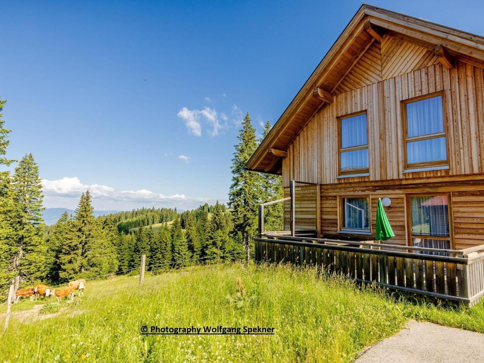 Villa Mountain Hut With Sauna On Weinebene Posch Alpe Exterior foto