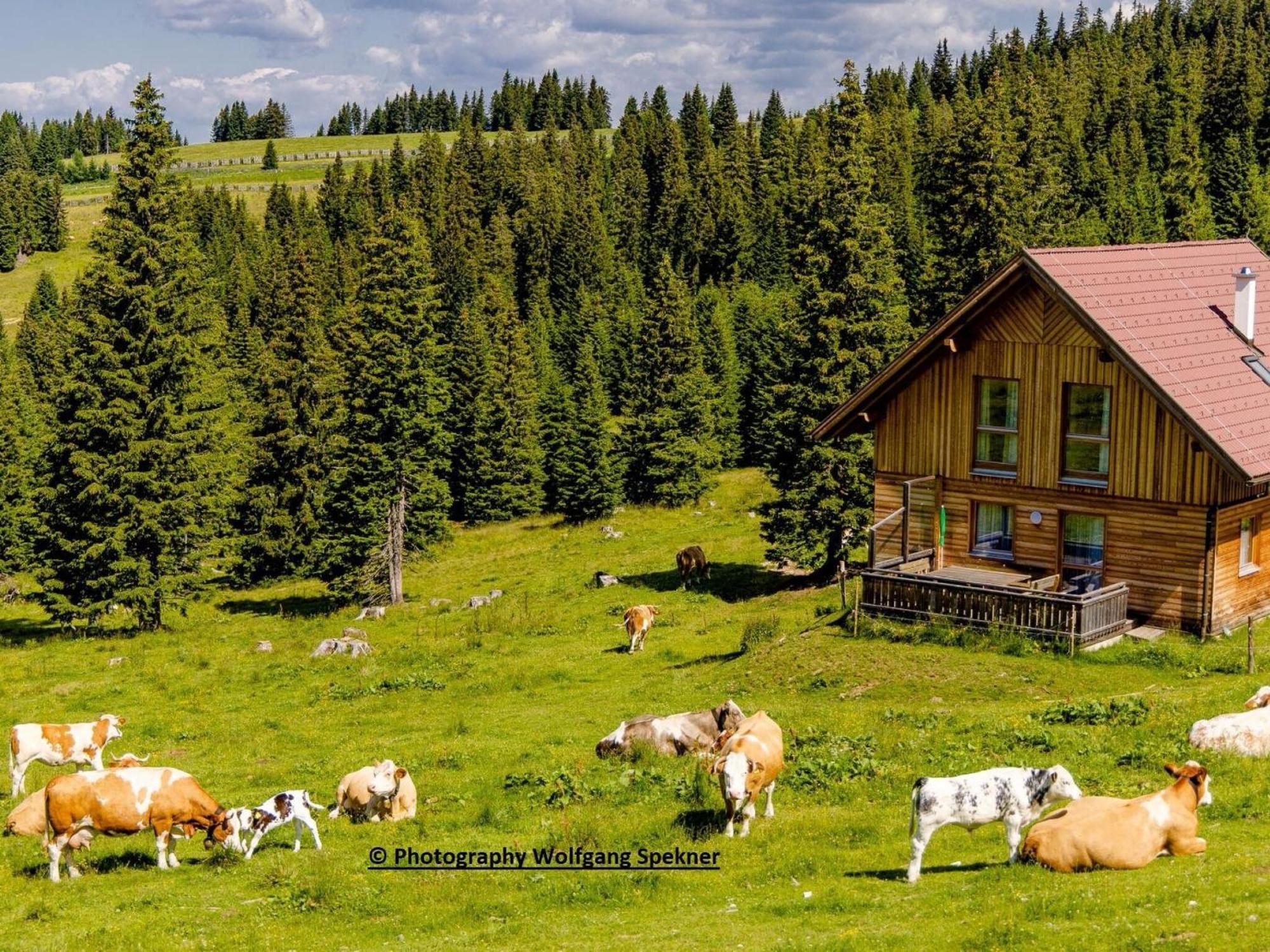 Villa Mountain Hut With Sauna On Weinebene Posch Alpe Exterior foto